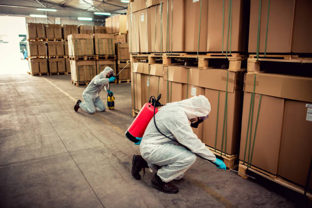 Best Pest Control Near Me  in Lyons, IL