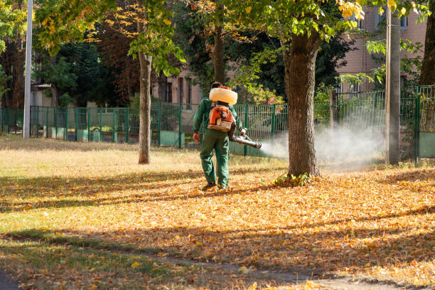 Best Best Pest Control Companies  in Lyons, IL