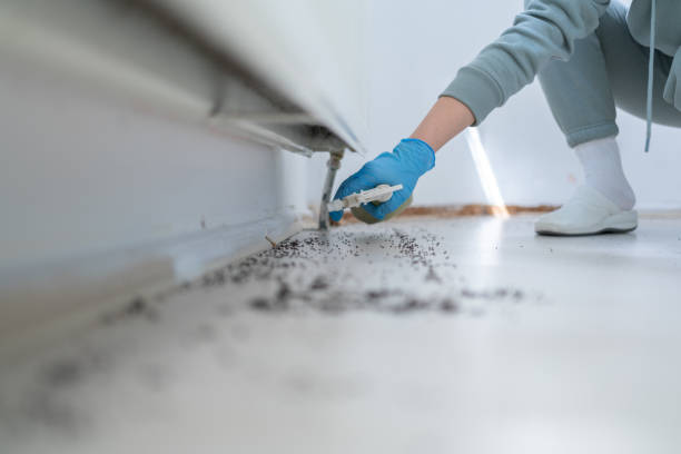 Best Best Pest Control Companies  in Lyons, IL